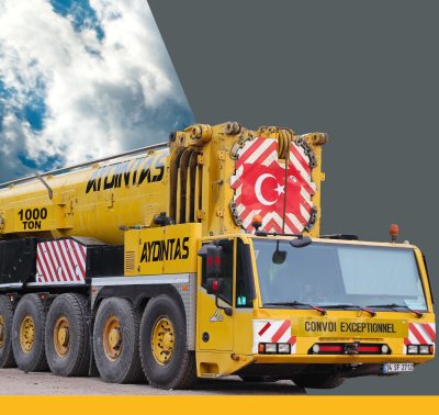 TEREX AC 1000-9