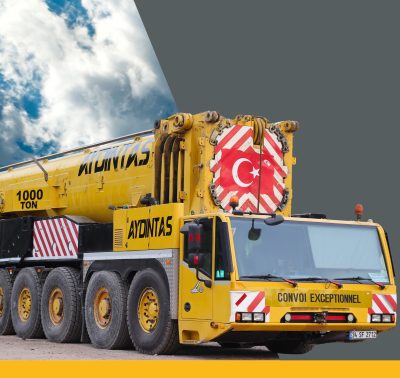 TEREX AC 1000-9 (1000 TON)